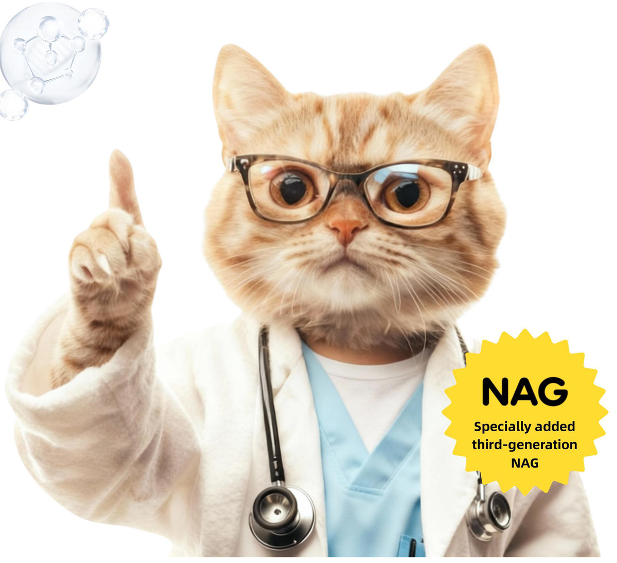 Cat with NAG