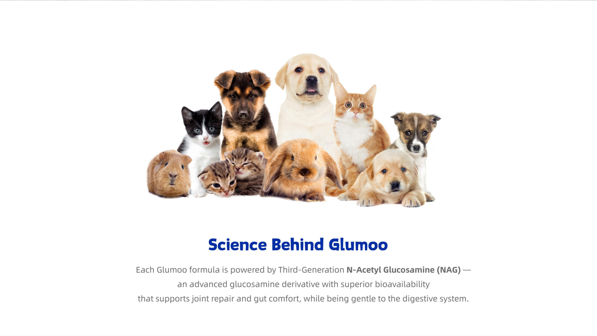 Footer Banner